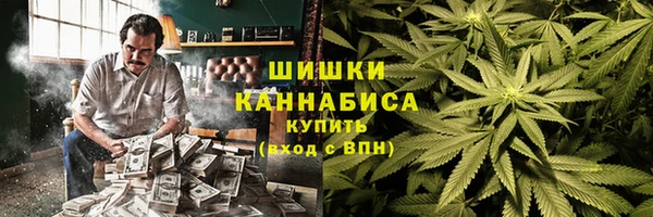 мдпв Богданович