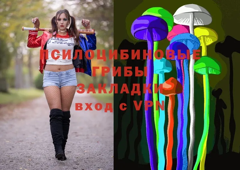 Галлюциногенные грибы Magic Shrooms  блэк спрут рабочий сайт  Жуков 